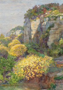 Broom in Bloom on Brionin by Hugo Charlemont